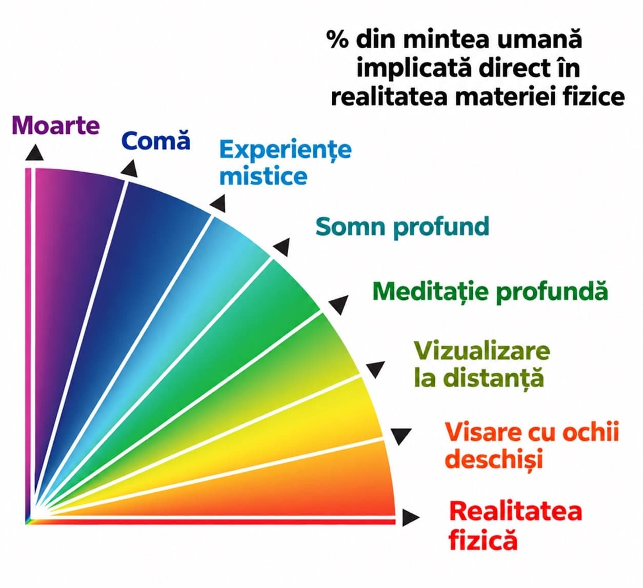 Diagrama schimbărilor de fază: de la realitatea fizică, prin visare, vizualizare la distanță, meditație profundă, somn profund și experiențe mistice, până la comă și moarte