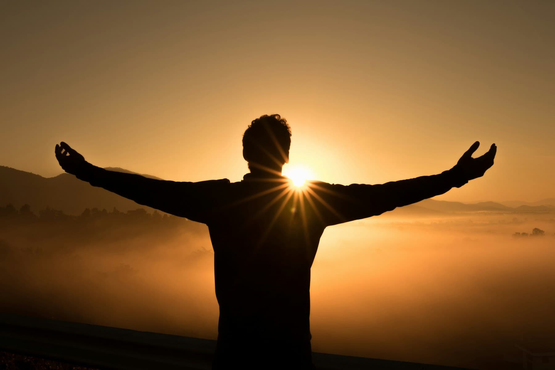 Forgiveness – traducerea meditației