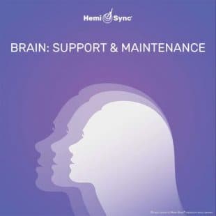 Brain: Support Maintenance