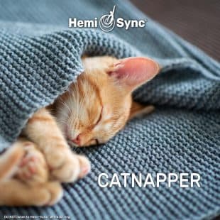 Catnapper