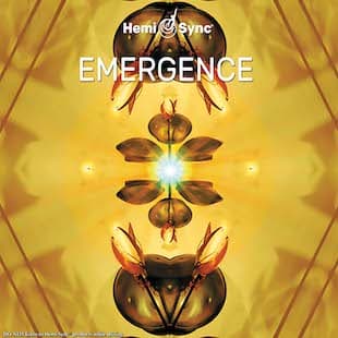 Emergence