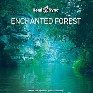 Enchanted Forest