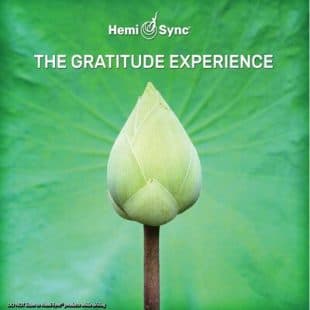 The Gratitude Experience