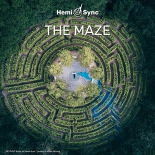 The Maze
