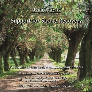 Support for Stroke Recovery